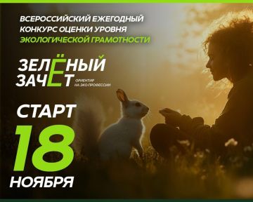 Такой зачёт на деревьях растет