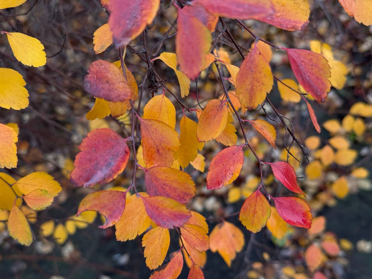 С добрым утром, жители Марковского муниципального округа!