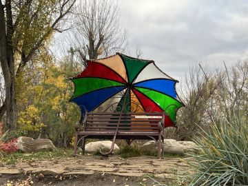 Дождь и похолодание ожидаются в ЛНР 13 ноября