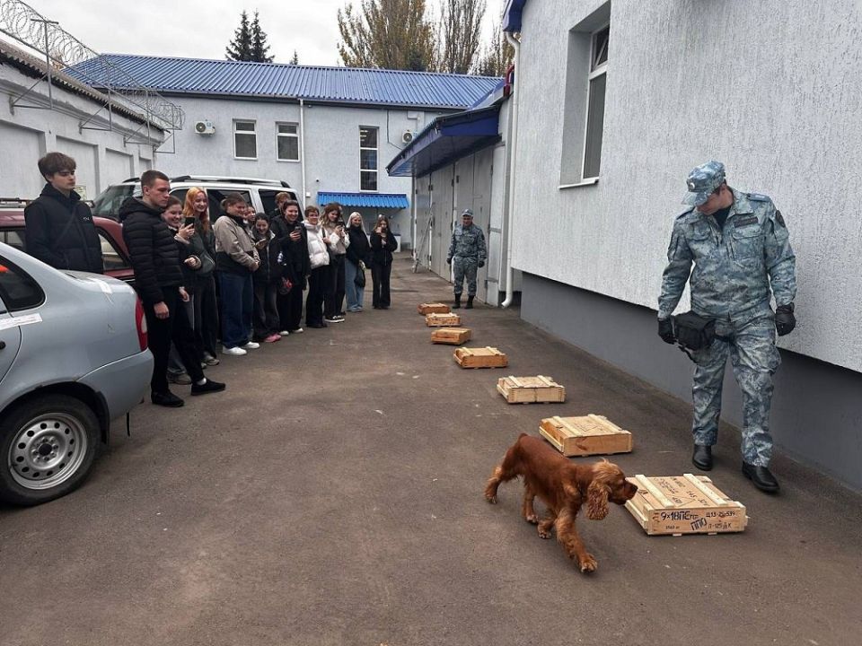 ���������� ������������ ������� �������� ������� ��������������� ��������� ��� ��������� � �������� ������� �������