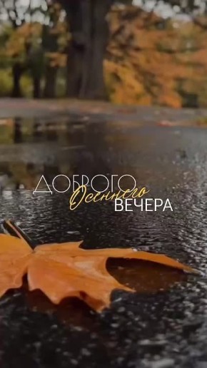 ДОБРОЙ И МИРНОЙ НОЧИ НОВОАЙДАРСКИЙ ОКРУГ!