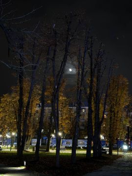 Синоптики прогнозируют 14 ноября в ЛНР от 5 градусов выше нуля ночью до 12 градусов тепла днем, местами ожидаются дождь и туман