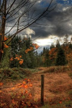 Доброе утро!. Ваш прогноз погоды на четверг, 13 ноября: Ночь (00:01-06:00)