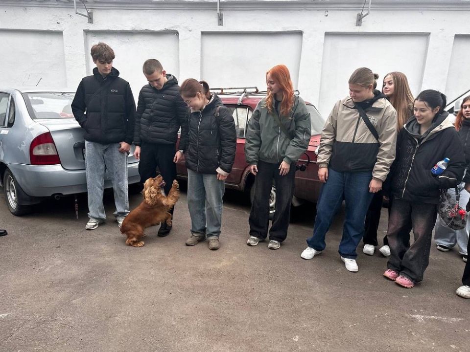 ���������� ������������ ������� �������� ������� ��������������� ��������� ��� ��������� � �������� ������� �������