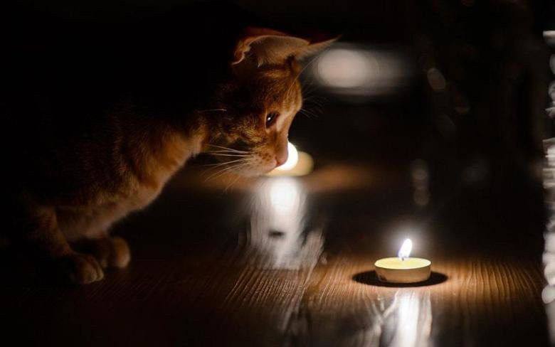 Делегация из Санкт-Петербурга посетила Славяносербский муниципальный округ для укрепления сотрудничества Делегация из Санкт-Петербурга посетила Славяносербский муниципальный округ для укрепления сотрудничества