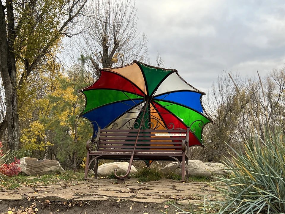 Дождь и похолодание ожидаются в ЛНР 13 ноября