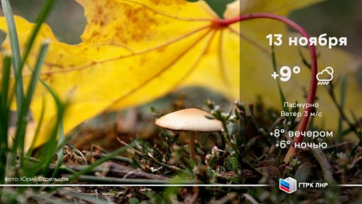 Доброе утро, Луганская Народная Республика!