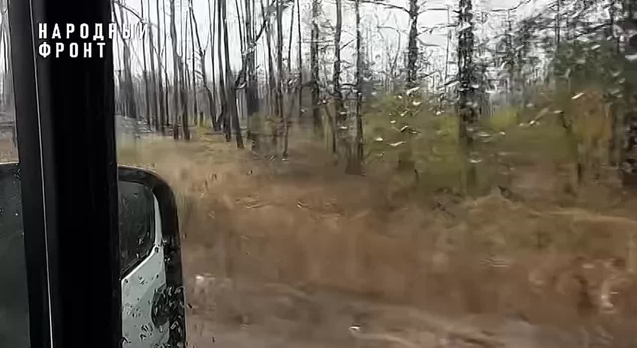 Светлана и её муж — свидетели трагедии Торского