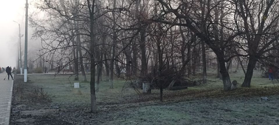 В парке имени Воровского прошел общегородской субботник В парке имени Воровского прошел общегородской субботник