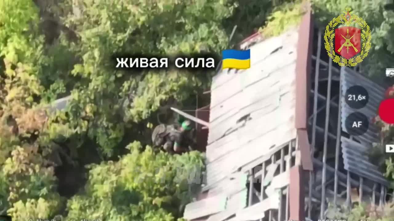 Кадры боев за населенный пункт Дроновка