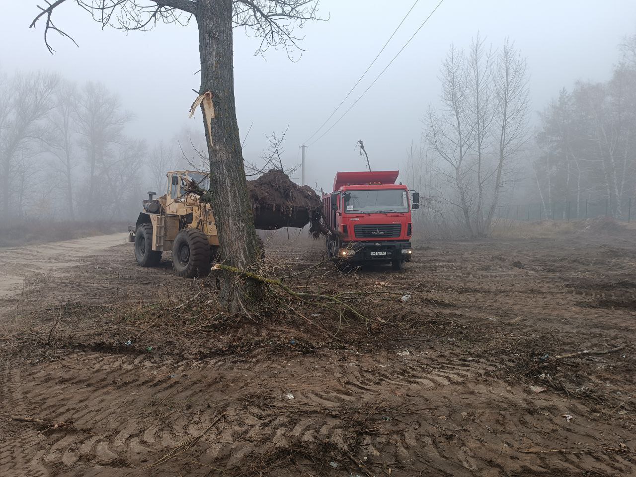 В рамках реализации постановления о благоустройстве территорий кладбищ Старобельского муниципального округа начаты работы по приведению мест захоронений в соответствие с нормативными требованиями В рамках реализации постановления о благоустройстве территорий кладбищ Старобельского муниципального округа начаты работы по приведению мест захоронений в соответствие с нормативными требованиями