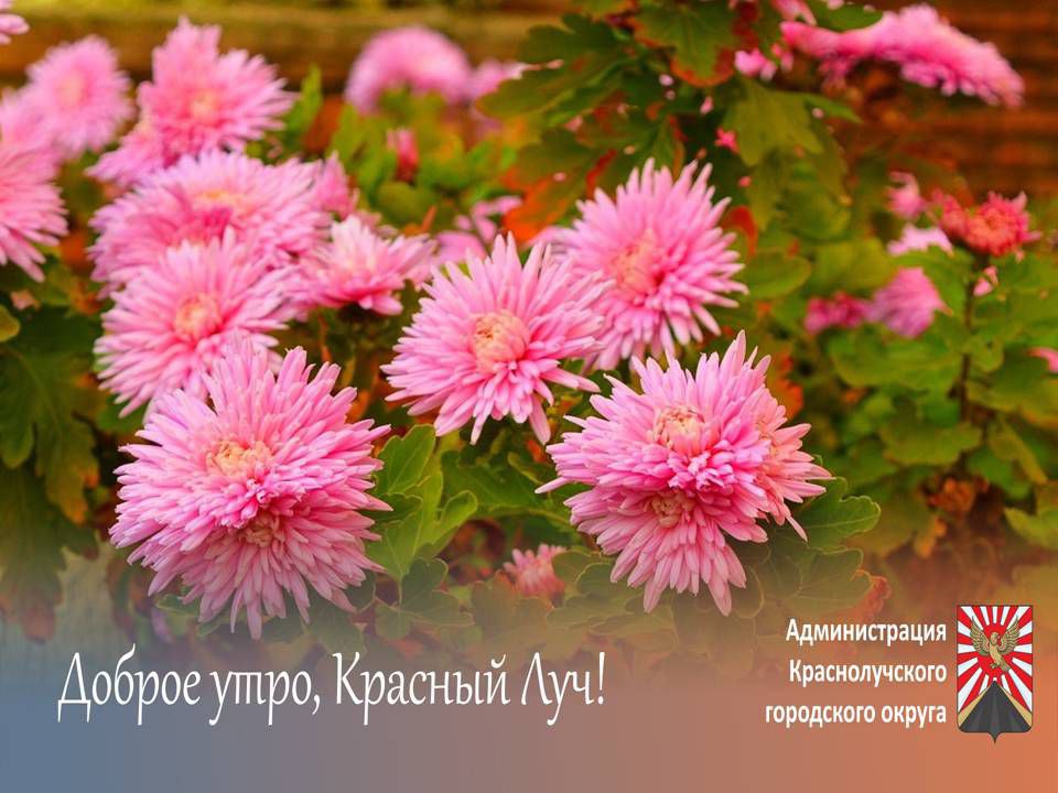 Доброе утро, краснолучане и гости города!