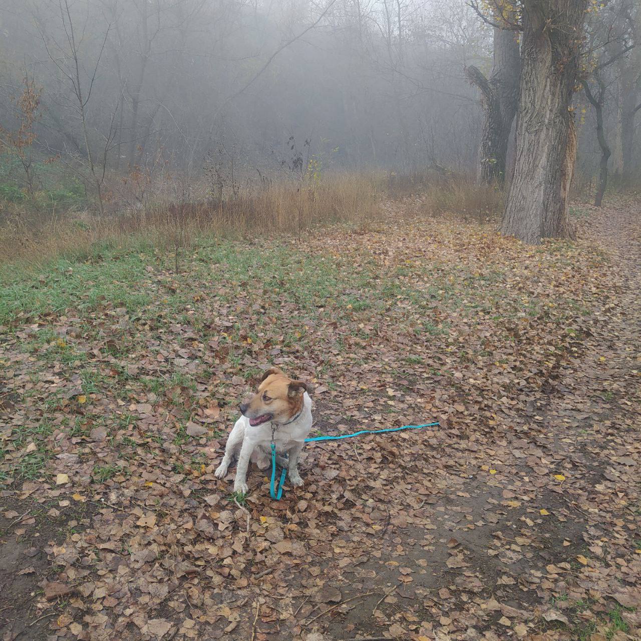 Туманный и такой красивый Луганск в объективе наших подписчиков Туманный и такой красивый Луганск в объективе наших подписчиков