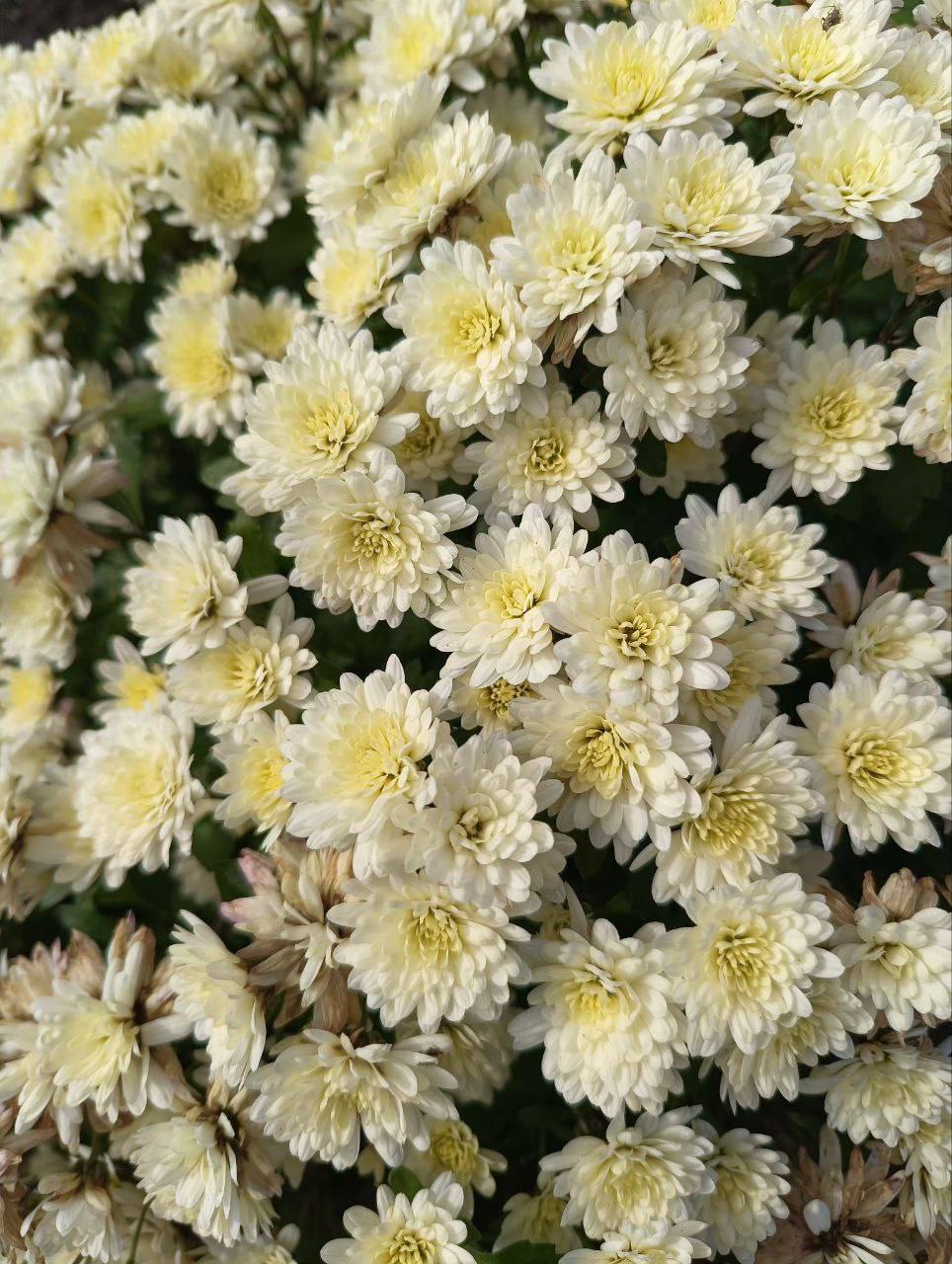 С добрым утром, жители Марковского муниципального округа!