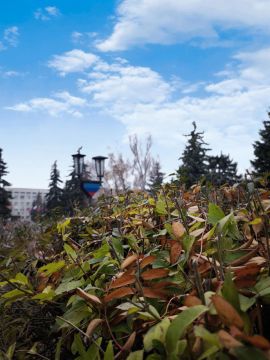 Доброе утро, Кировск!. Пусть этот день принесет радость, вдохновение и удачу.Начинайте день с хорошего настроения и верьте в лучшее