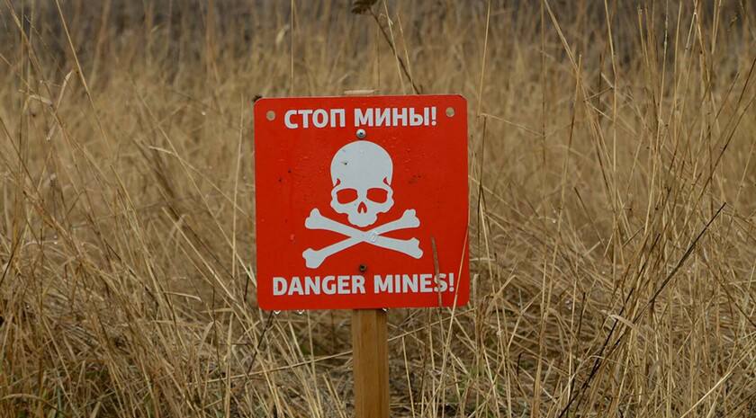 Мины на берегу реки Северский Донец в ЛНР лежат в четыре-пять слоев, разминирование этой зоны потребует много специалистов и времени