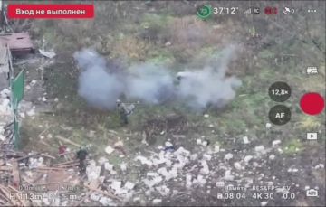 Свинья спасла наших штурмовиков, подорвавшись на мине