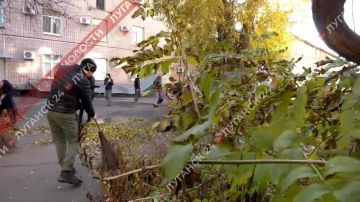 Коллектив Государственной телерадиокомпании ЛНР вышел на субботник