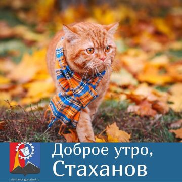 Доброе утро, родной город!