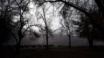 Туманный и такой красивый Луганск в объективе наших подписчиков