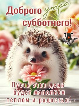 Доброе утро! Всем энергии и радости от этой субботы