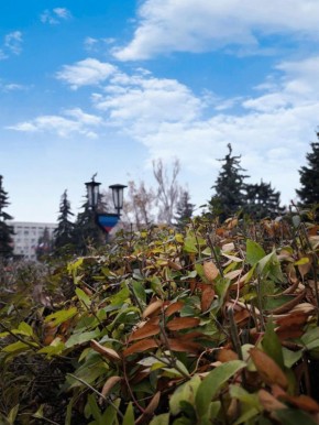 Доброе утро, Кировск!. Пусть этот день принесет радость, вдохновение и удачу.Начинайте день с хорошего настроения и верьте в лучшее