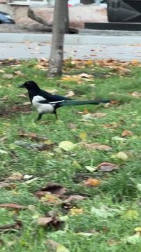 Синоптики прогнозируют 16 ноября в ЛНР от нуля градусов ночью до восьми градусов тепла днем, местами дождь и мокрый снег