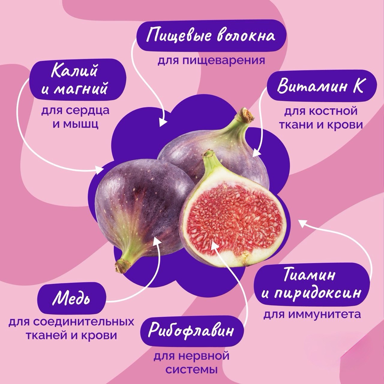 Не ягода и не фрукт. Сегодня кладём в нашу продуктовую корзину инжир