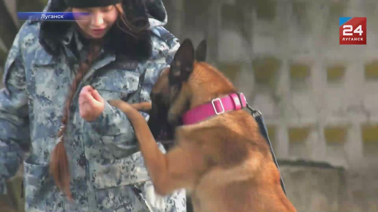 10 ноября страна отметила День сотрудников органов внутренних дел