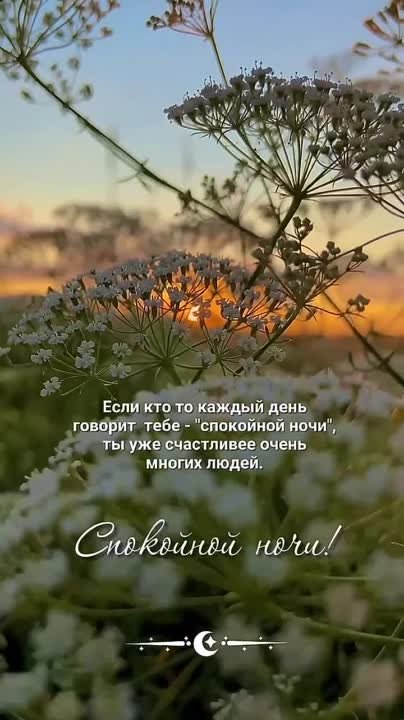 Ночная тишь... Стучит башкой об стол, заснув, заочник. Кирпичный будоражит позвоночник печная мышь. И за окном толпа деревьев в деревянной раме, как лёгкие на школьной диаграмме, объята сном