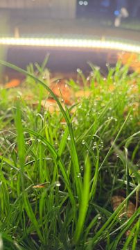 Синоптики прогнозируют 17 ноября в ЛНР от 1 градуса тепла ночью до 13 градусов тепла днем, местами дождь