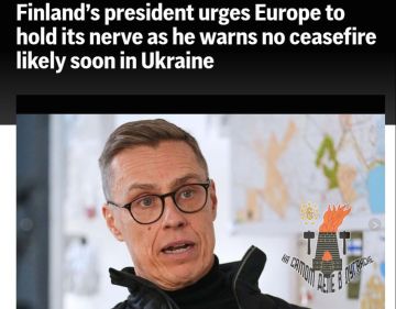 Президент Финляндии Стубб считает прекращение огня на Украине до весны маловероятным