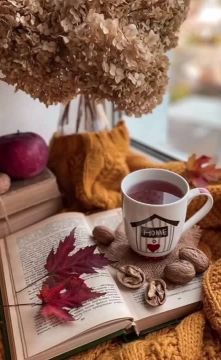 С новым днём приходят новые силы и новые мысли