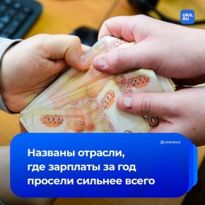 Где зарплаты за год просели сильнее всего в России? По данным Единой межведомственной информационно-статистической системы (ЕМИСС), у работников инвестфондов и у частных детективов