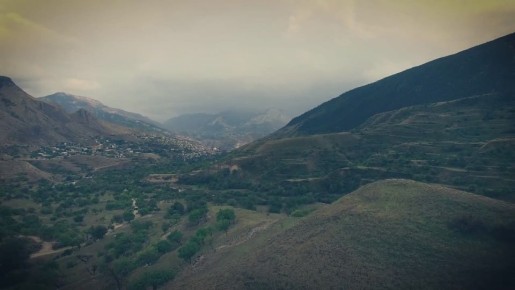 В семье нет места террористу