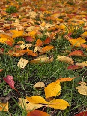 С добрым утром, жители Марковского муниципального округа!