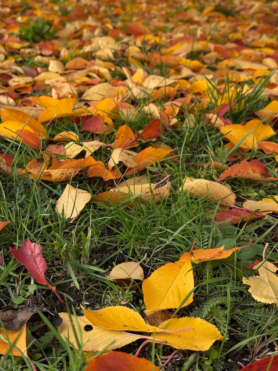 С добрым утром, жители Марковского муниципального округа!