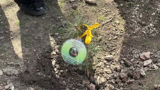 Телепрограмма Родной Краснодон