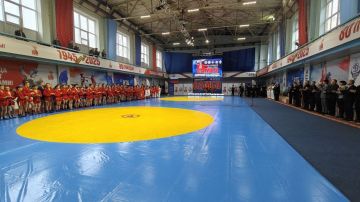 14 ноября в Луганске состоялся Республиканский турнир по самбо, посвященный памяти участника СВО Даниила Дорохина