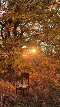 Доброе утро! Ваш прогноз на понедельник, 17 ноября: