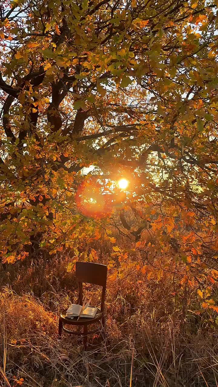 Доброе утро! Ваш прогноз на понедельник, 17 ноября: