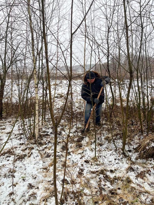 �������� ������� ������� � ����������� ��������� ���