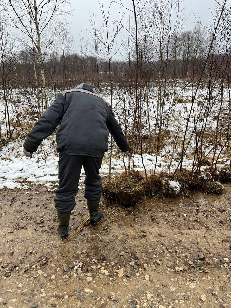 Калужане помогут разбить в Первомайске березовый сад