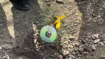 Телепрограмма Родной Краснодон