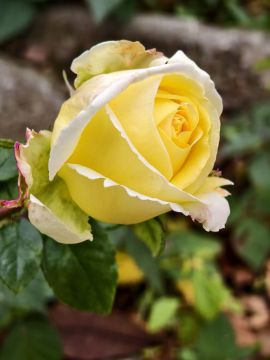 Доброе утро, любимый Свердловск!