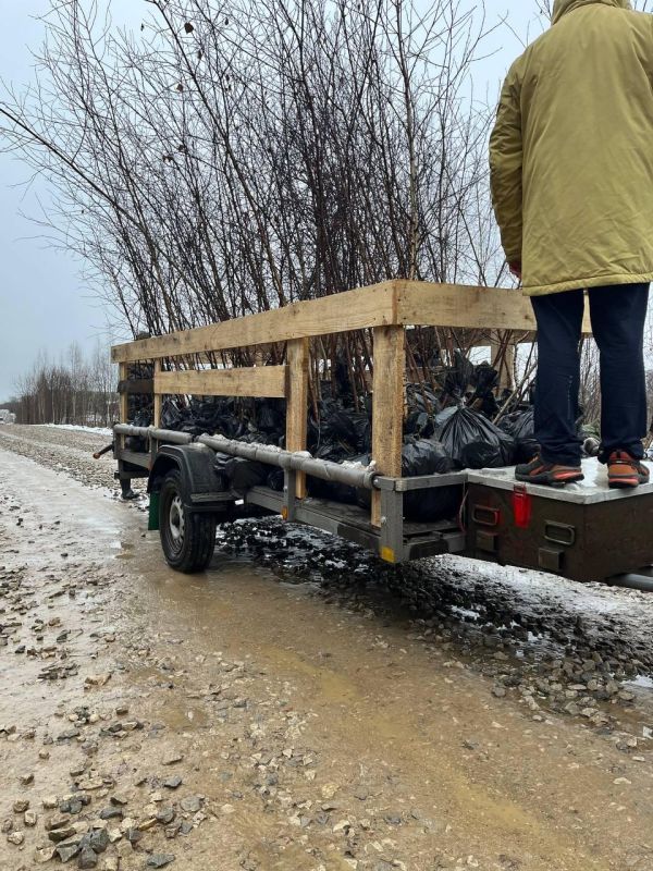 �������� ������� ������� � ����������� ��������� ���