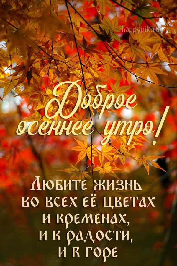 С ДОБРЫМ УТРОМ, СВАТОВСКИЙ ОКРУГ!