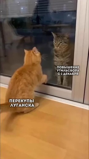 Внимание, автолюбители!. Если ваш кошелёк вдруг почувствовал лёгкую пустоту — не паникуйте, это новый утильсбор! Напоминаем, что с 1 декабря авто свыше 160 лошадиных сил обойдется в копеечку