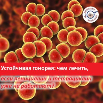 Гонорея — одна из самых древних болезней, но сегодня она превратилась в серьезную угрозу из-за своей суперустойчивости