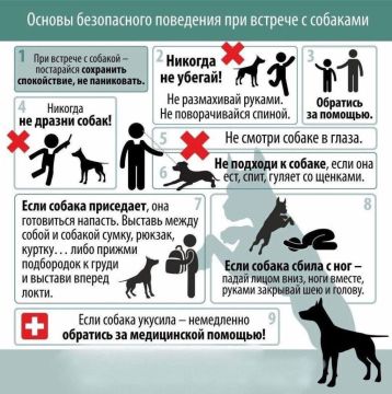 Памятка "Безопасность детей при общении с животными"